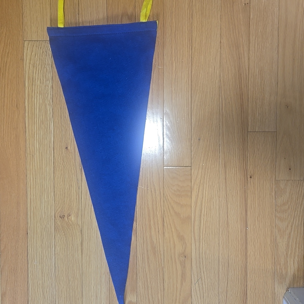 Not Today Pennant - Picture 2 of 4